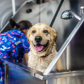 写真:大きな浴槽
