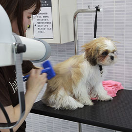 写真:プロ仕様のスタンドドライヤー