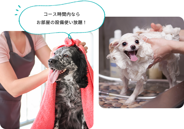 写真:シャワーの様子